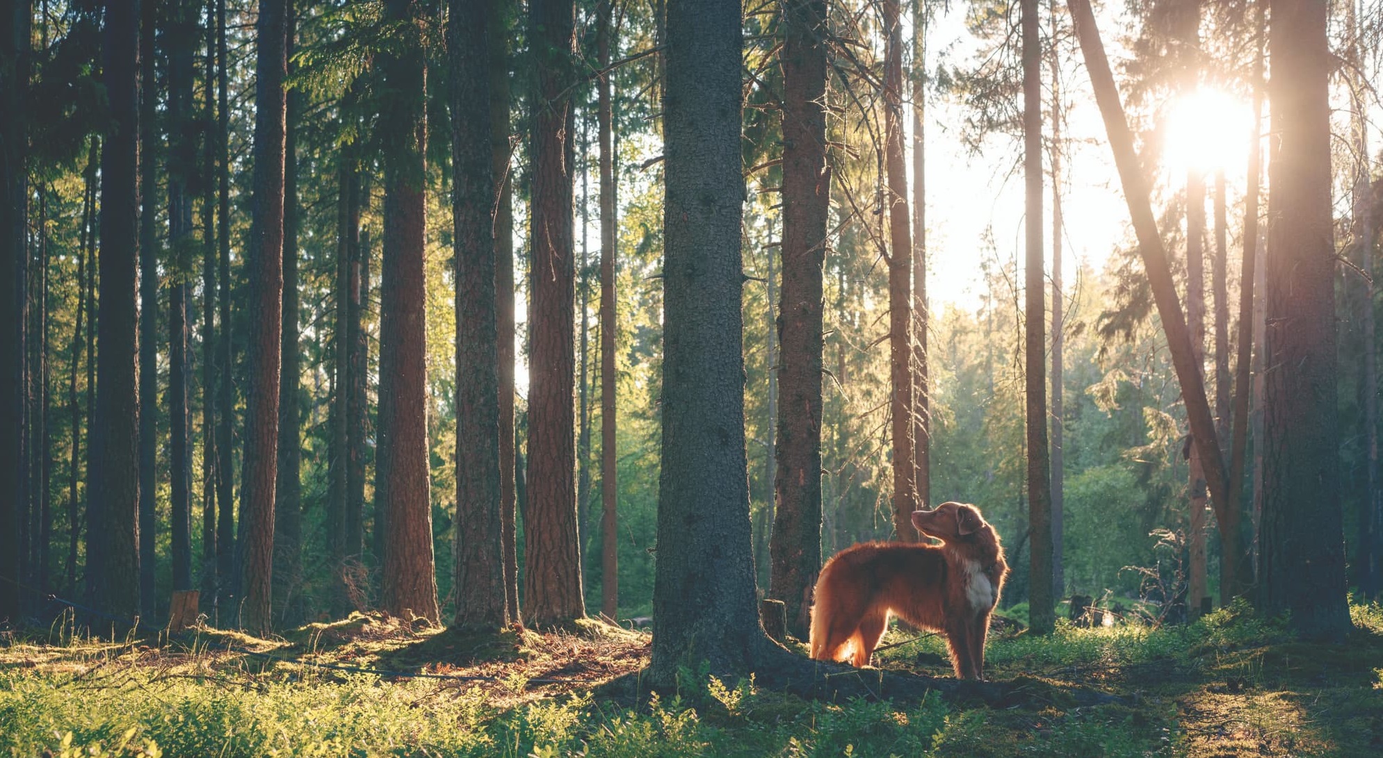 Беговые маршруты 3