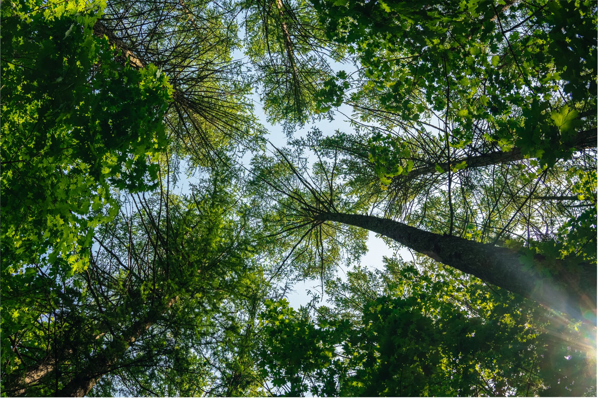 Природа - Природа - 1