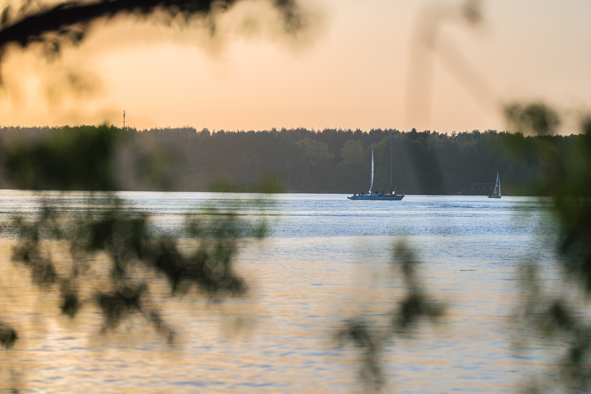 Беговые маршруты 1