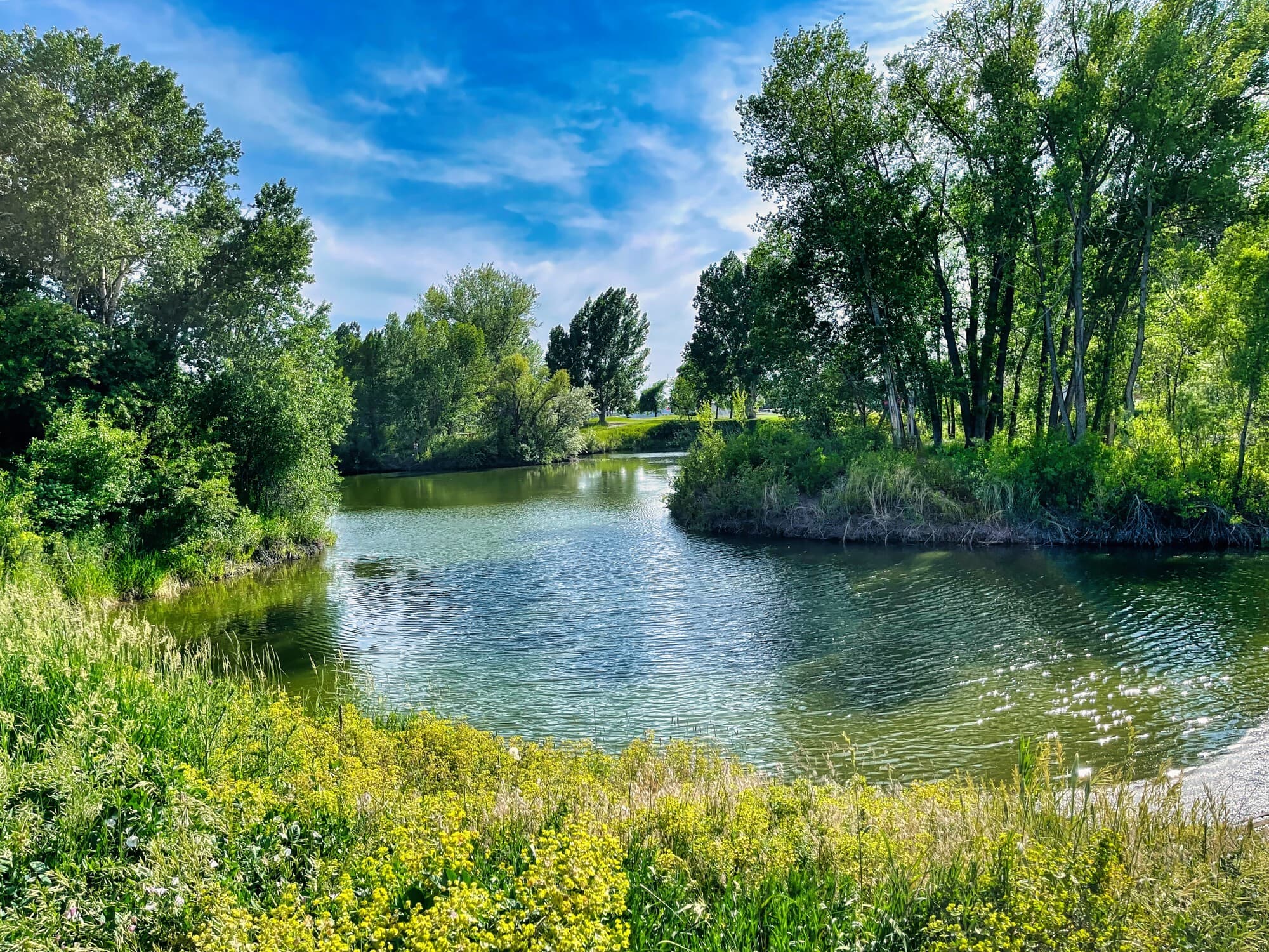 Рупасовские пруды 2